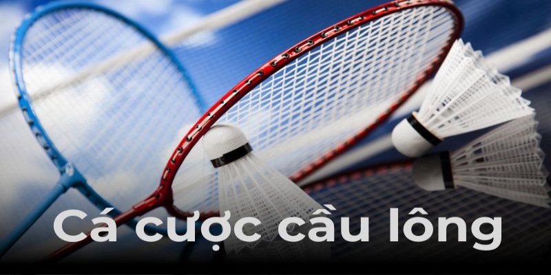 Đôi nét sơ lược về cá cược cầu lông trực tuyến