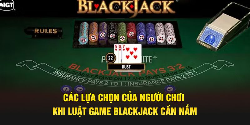 Các lựa chọn của người chơi khi luật game blackjack cần nắm