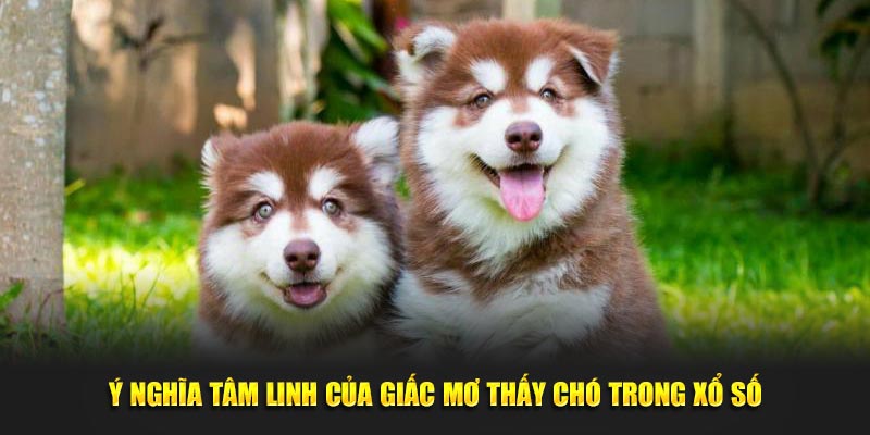 Ý nghĩa tâm linh của giấc mơ thấy chó trong xổ số